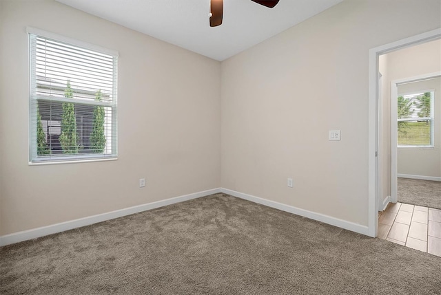 1949 American Beech Pkwy, Ocoee, FL 34761 - photo 22