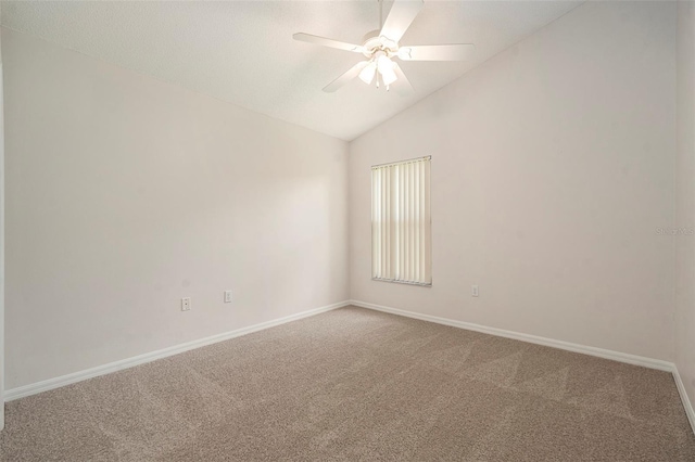 9135 Halberg Dr, Hudson, FL 34669 - photo 16