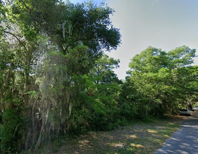 323 Division St, Fernandina Beach, FL 32034 - photo 2