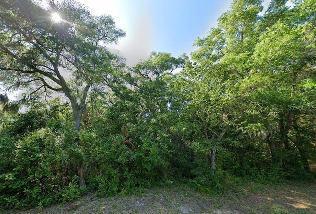 323 Division St, Fernandina Beach, FL 32034 - photo 3