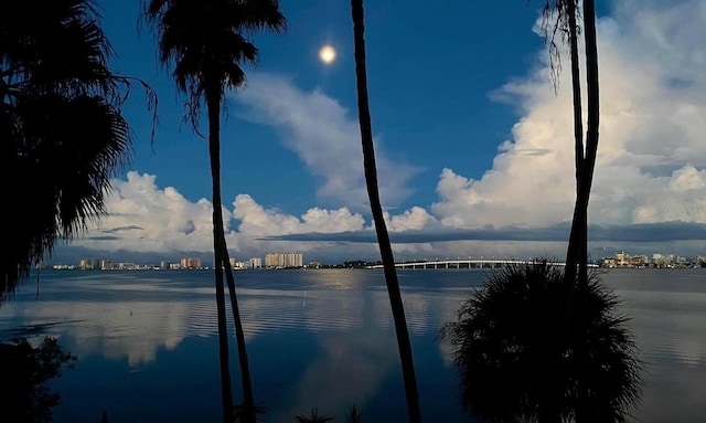 55 Rogers St Unit 402, Clearwater, FL 33756 - photo 4