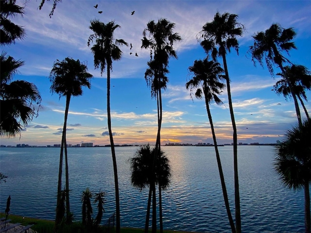 55 Rogers St Unit 402, Clearwater, FL 33756 - photo 5