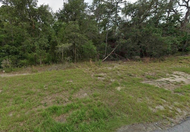 149th Lane Rd, Ocala, FL 34473 - photo 1
