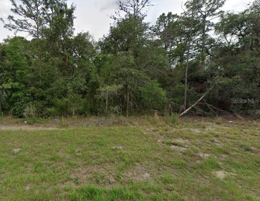 149th Lane Rd, Ocala, FL 34473 - photo 2