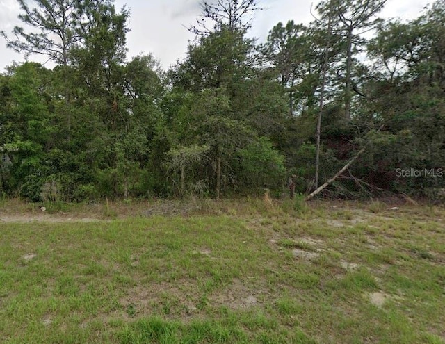 149th Lane Rd, Ocala, FL 34473 - photo 2