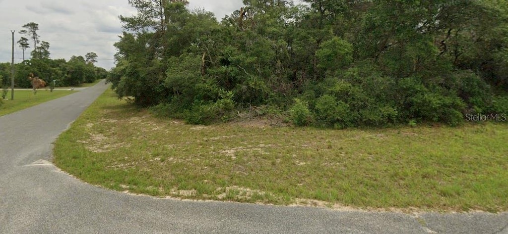 SW 158th Street Rd, Ocala, FL 34473 - photo 2