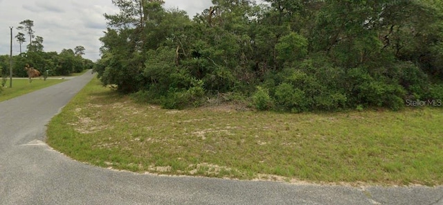 SW 158th Street Rd, Ocala, FL 34473 - photo 2