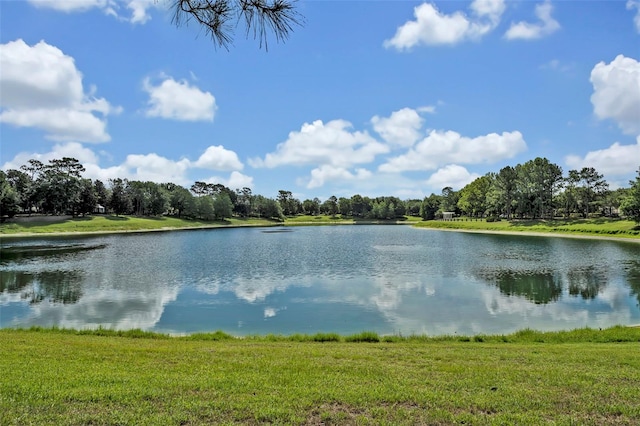 221 Ravenshill Way, Deland, FL 32724 - photo 35