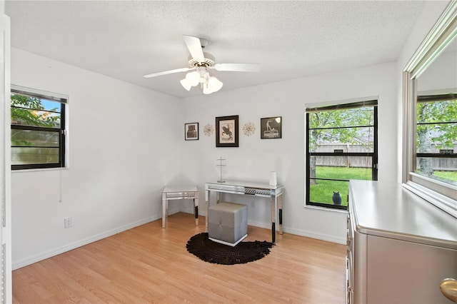 10406 Water Hyacinth Dr, Orlando, FL 32825 - photo 28