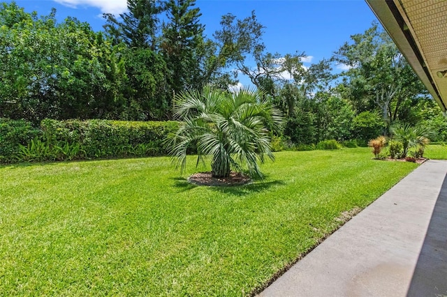 29 Indigo Dr, Lake Placid, FL 33852 - photo 23
