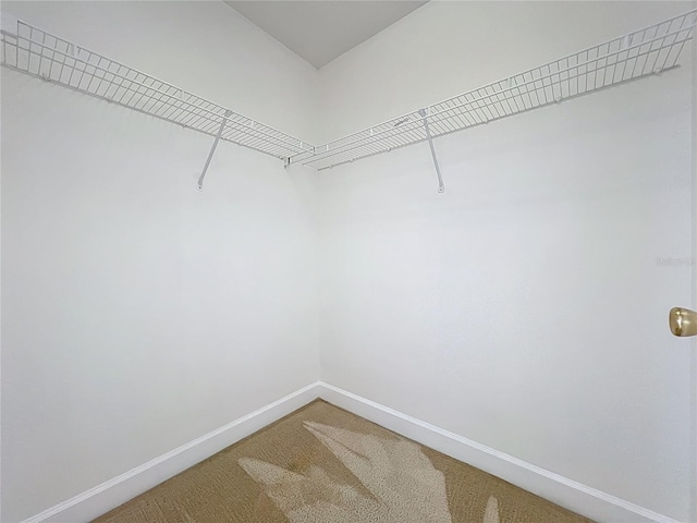 1658 Copperleaf Cv, Oviedo, FL 32766 - photo 55