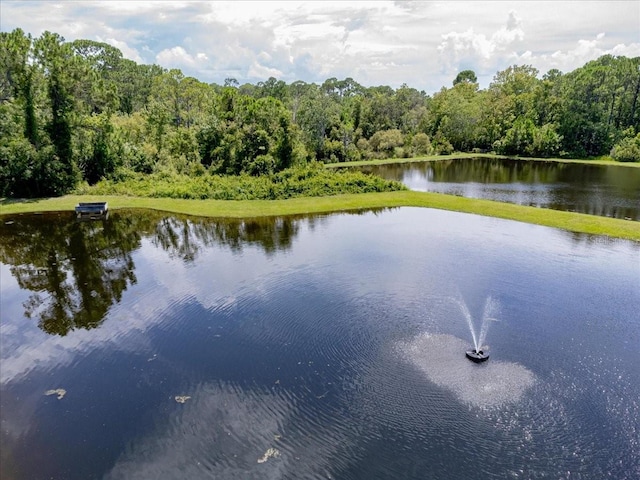 304 Sunset View Dr, Edgewater, FL 32141 - photo 26