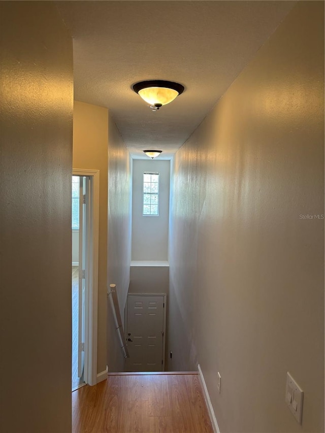 12024 Villanova Dr Unit 105, Orlando, FL 32837 - photo 15