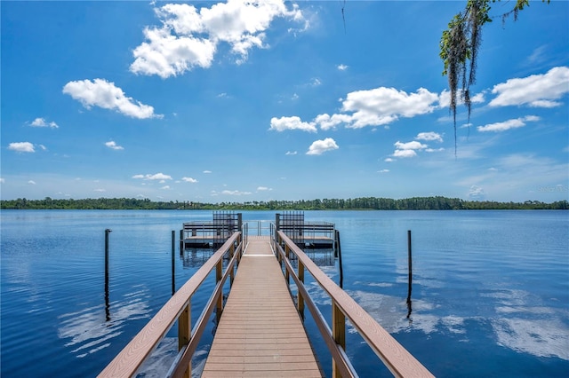 326 Jaybee Ave, Davenport, FL 33897 - photo 37