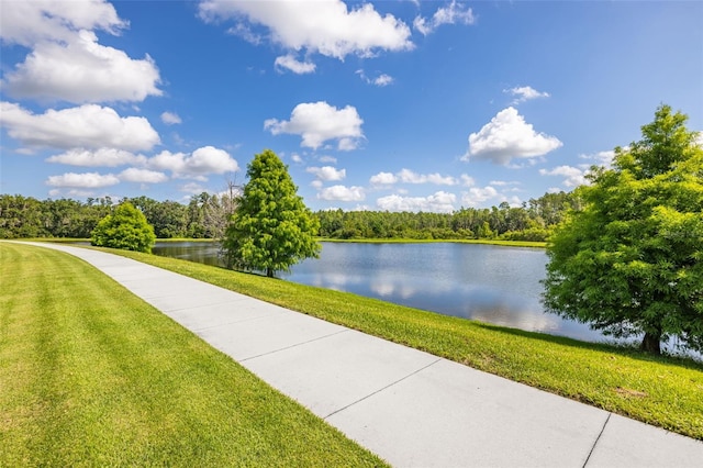 12640 Rangeland Blvd, Odessa, FL 33556 - photo 27