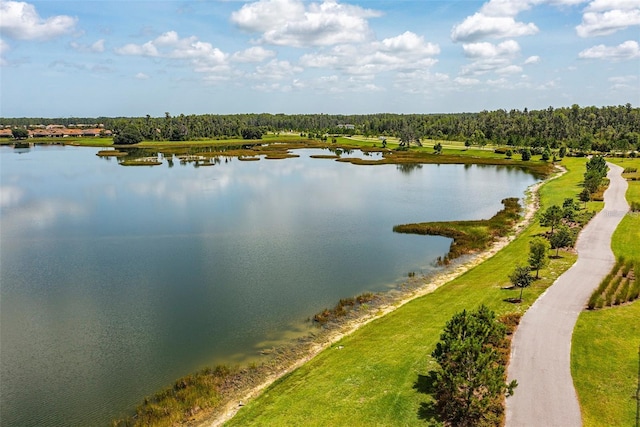 12640 Rangeland Blvd, Odessa, FL 33556 - photo 32