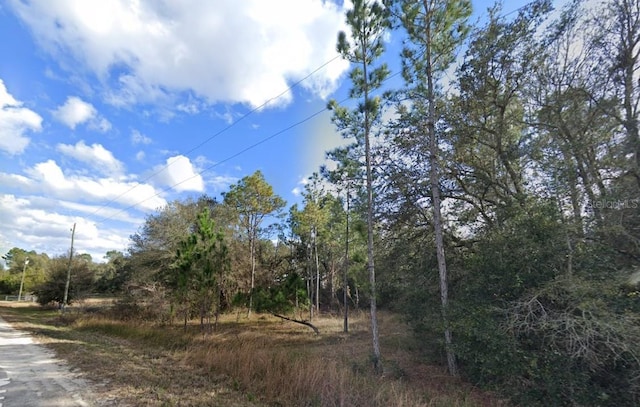 33472 W Blvd, Webster, FL 33597 - photo 1