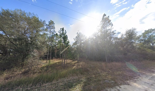 33472 W Blvd, Webster, FL 33597 - photo 2
