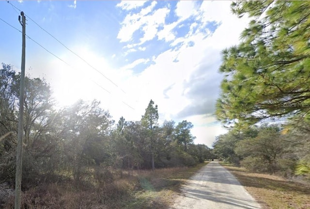 33472 W Blvd, Webster, FL 33597 - photo 3
