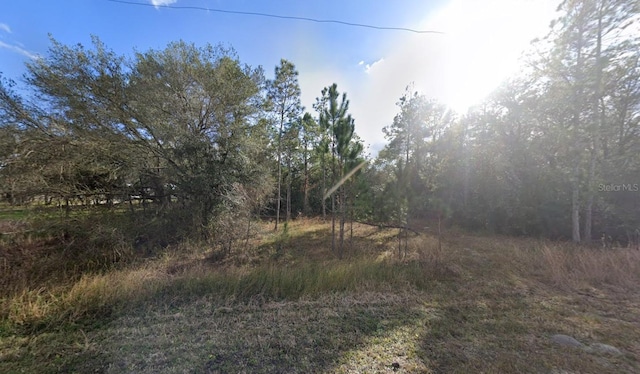 33472 W Blvd, Webster, FL 33597 - photo 8