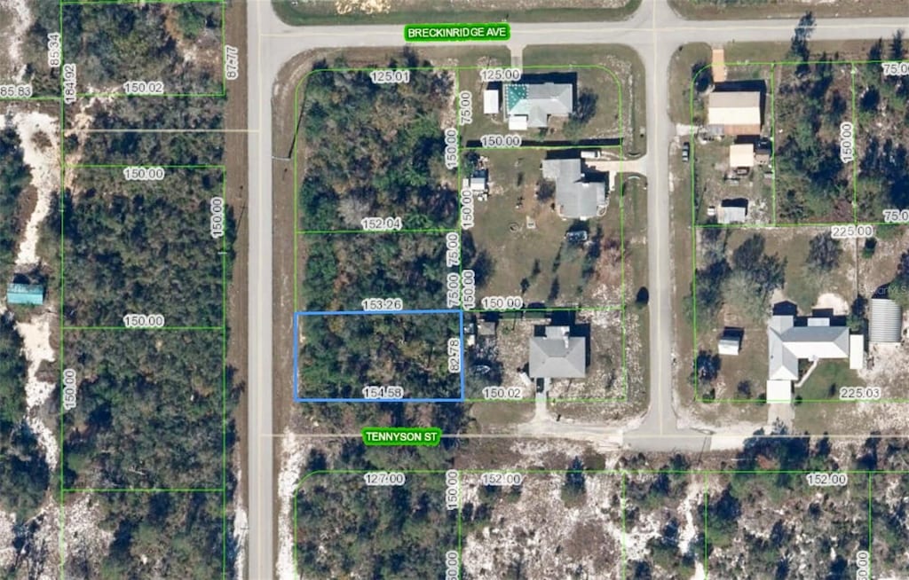 1002 Tennyson St, Lake Placid, FL 33852 - photo 1