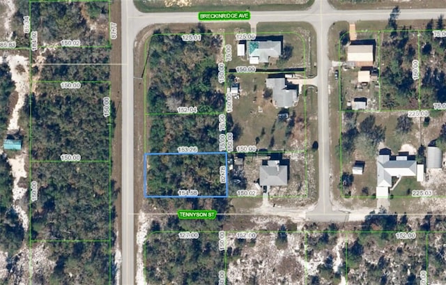 1002 Tennyson St, Lake Placid, FL 33852 - photo 1