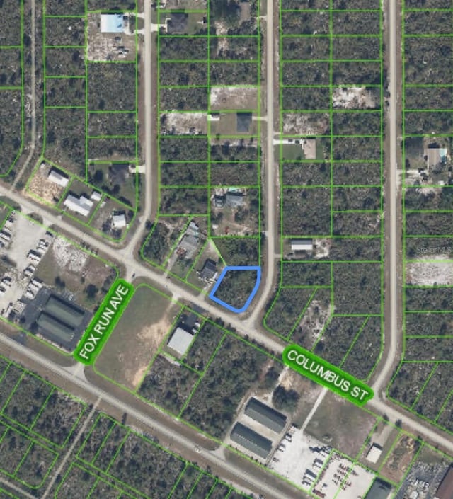 1414 Columbus St, Lake Placid, FL 33852 - photo 5