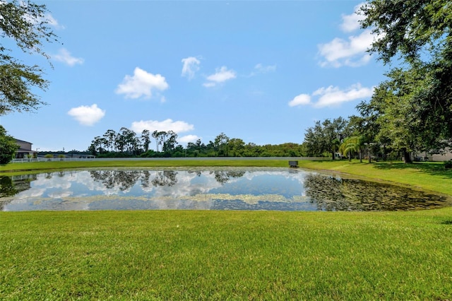 9716 Pecky Cypress Way, Orlando, FL 32836 - photo 19