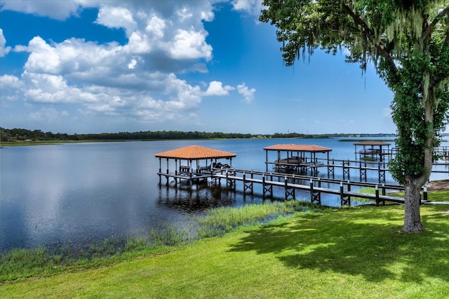 16821 Broadwater Ave, Winter Garden, FL 34787 - photo 56
