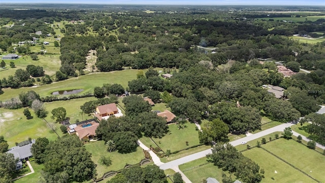 32137 Wolf Branch Ln, Sorrento, FL 32776 - photo 83