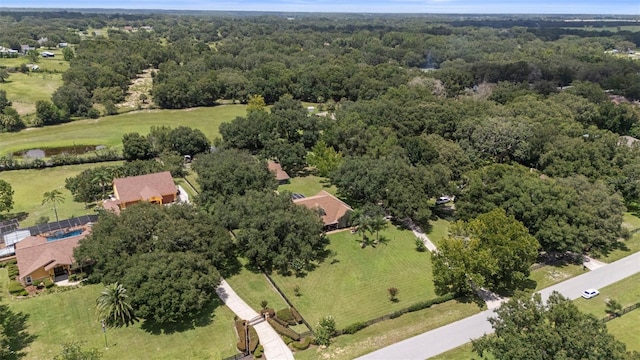 32137 Wolf Branch Ln, Sorrento, FL 32776 - photo 86
