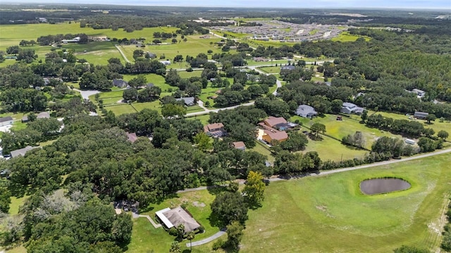 32137 Wolf Branch Ln, Sorrento, FL 32776 - photo 90