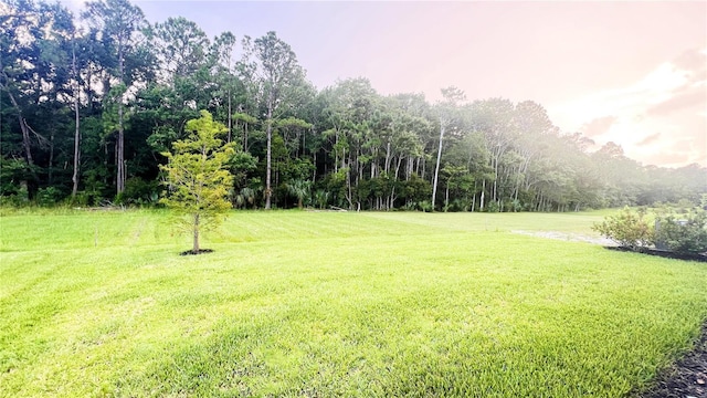 635 Cedar Preserve Ln, Saint Augustine, FL 32095 - photo 20