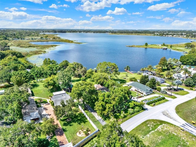 16210 Lake Saunders Dr, Tavares, FL 32778 - photo 62