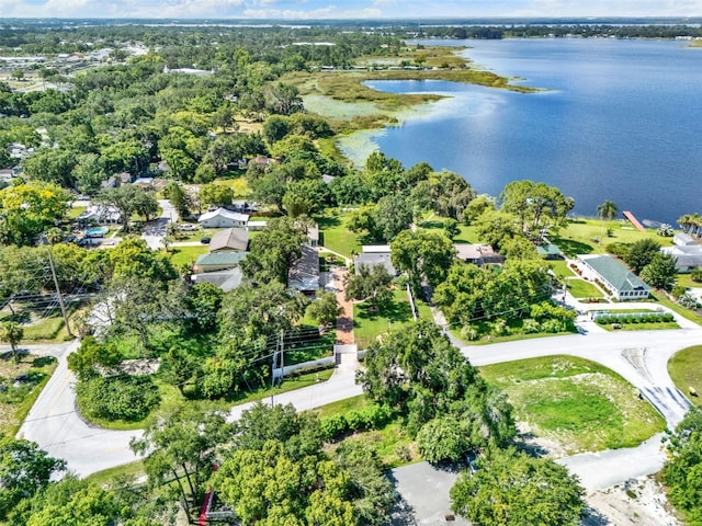 16210 Lake Saunders Dr, Tavares, FL 32778 - photo 66