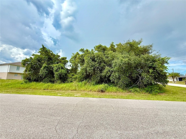 1 Sawfish Ln, Poinciana, FL 34759 - photo 1