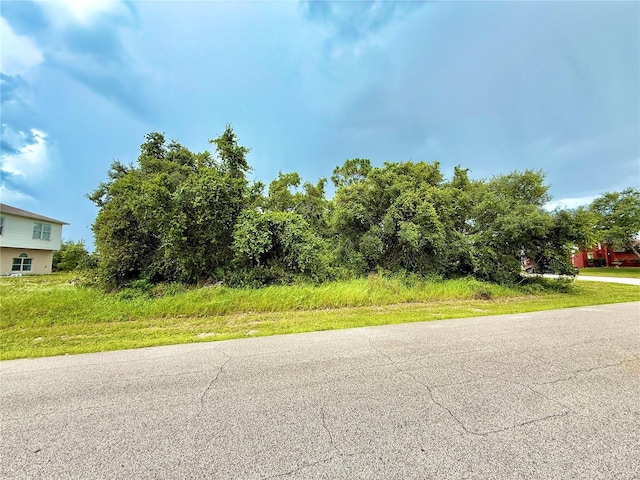 1 Sawfish Ln, Poinciana, FL 34759 - photo 4