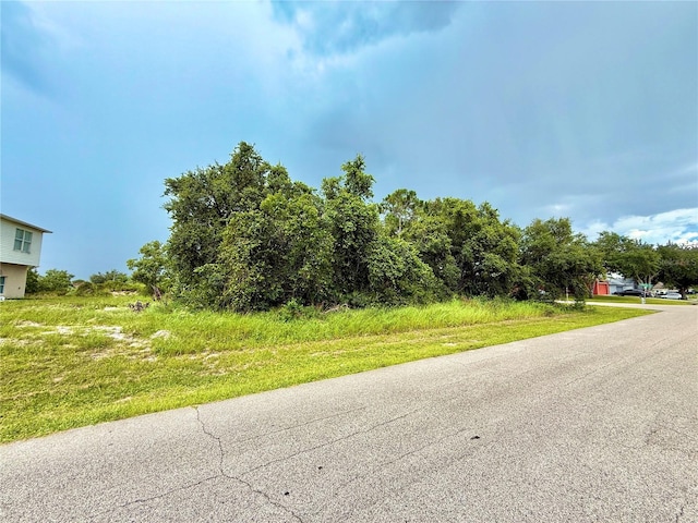 1 Sawfish Ln, Poinciana, FL 34759 - photo 5