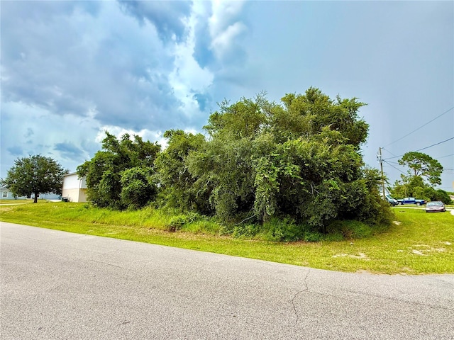 1 Sawfish Ln, Poinciana, FL 34759 - photo 6