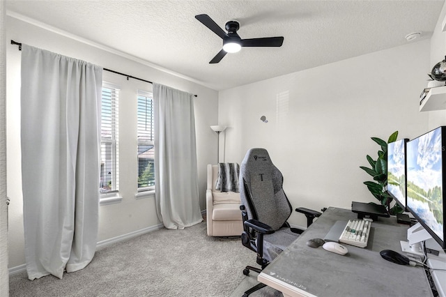 13617 Salamander St, Winter Garden, FL 34787 - photo 31