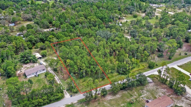 14361 Switch Back Rd, Spring Hill, FL 34609 - photo 2