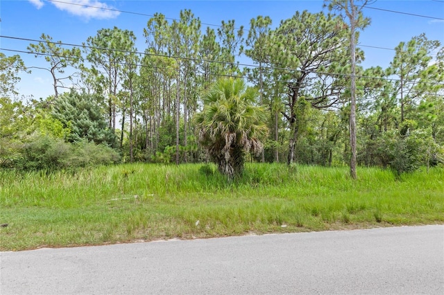 14361 Switch Back Rd, Spring Hill, FL 34609 - photo 3