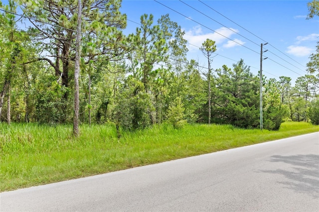 14361 Switch Back Rd, Spring Hill, FL 34609 - photo 4