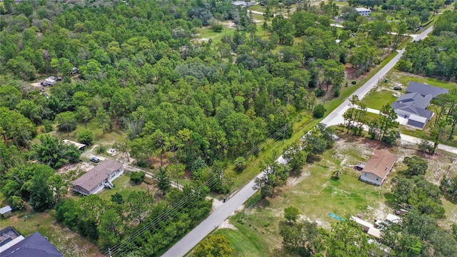 14361 Switch Back Rd, Spring Hill, FL 34609 - photo 13