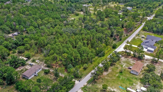 14361 Switch Back Rd, Spring Hill, FL 34609 - photo 14