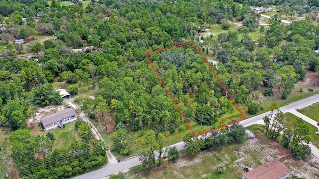 14373 Switch Back, Spring Hill, FL 34609 - photo 2
