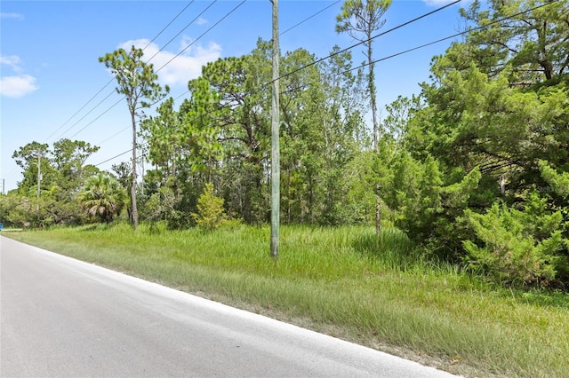 14373 Switch Back, Spring Hill, FL 34609 - photo 3