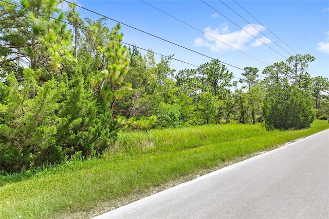 14373 Switch Back, Spring Hill, FL 34609 - photo 4