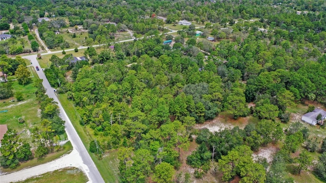 14373 Switch Back, Spring Hill, FL 34609 - photo 8