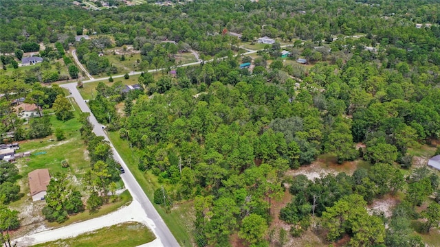 14373 Switch Back, Spring Hill, FL 34609 - photo 11